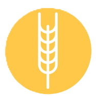 Icona personalizzata